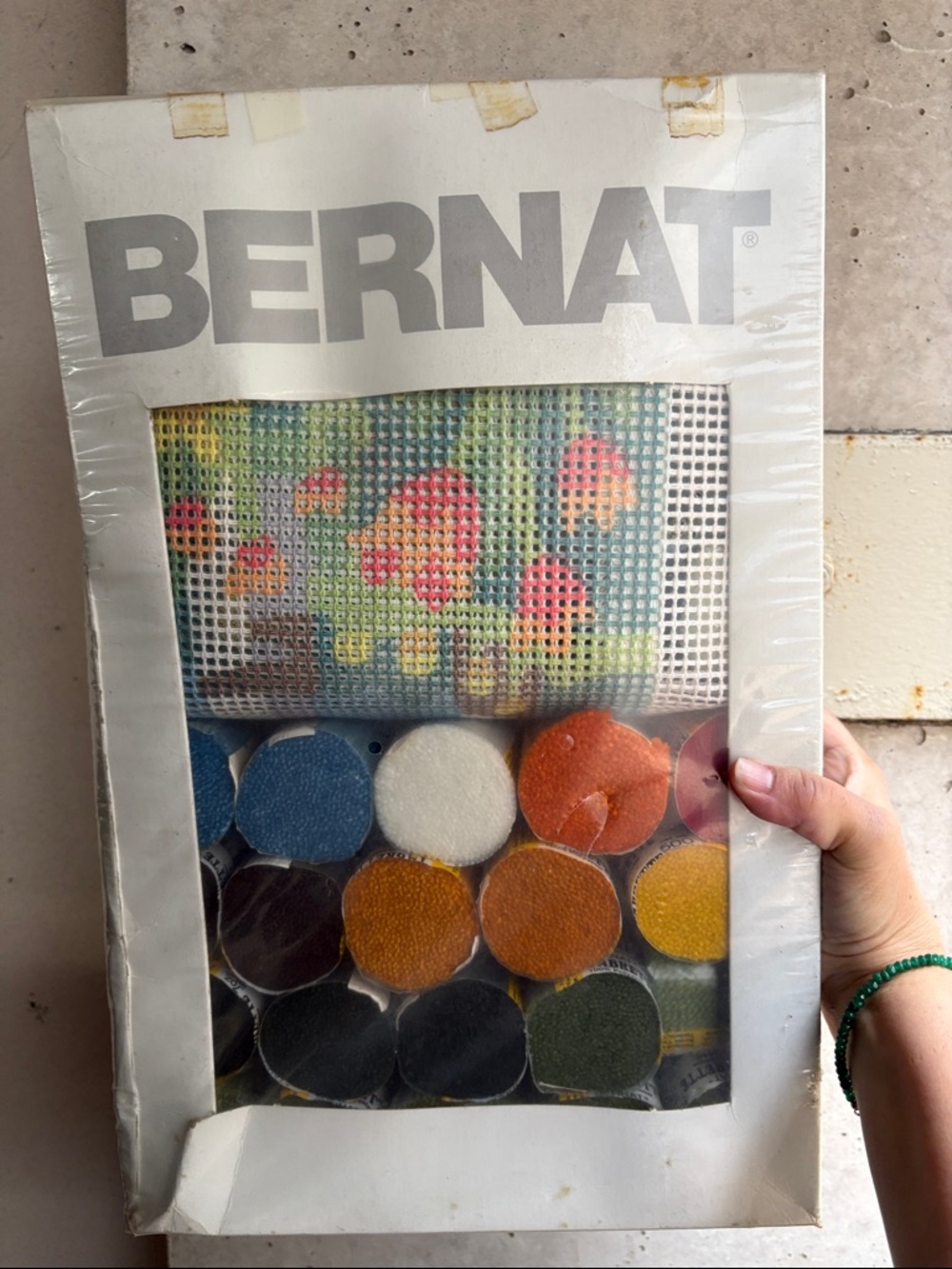 Vintage 1970s Bernat Latch Hook Kit – Meadow Birch Trees – NEW Sealed